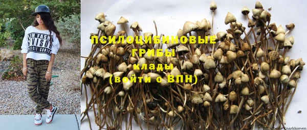 МДПВ Армянск