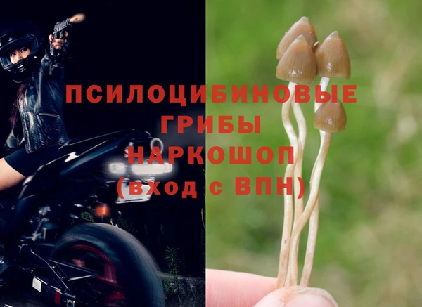 MDMA Premium VHQ Аркадак