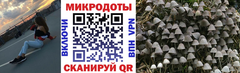 Псилоцибиновые грибы мухоморы МЕГА ссылки Константиновск